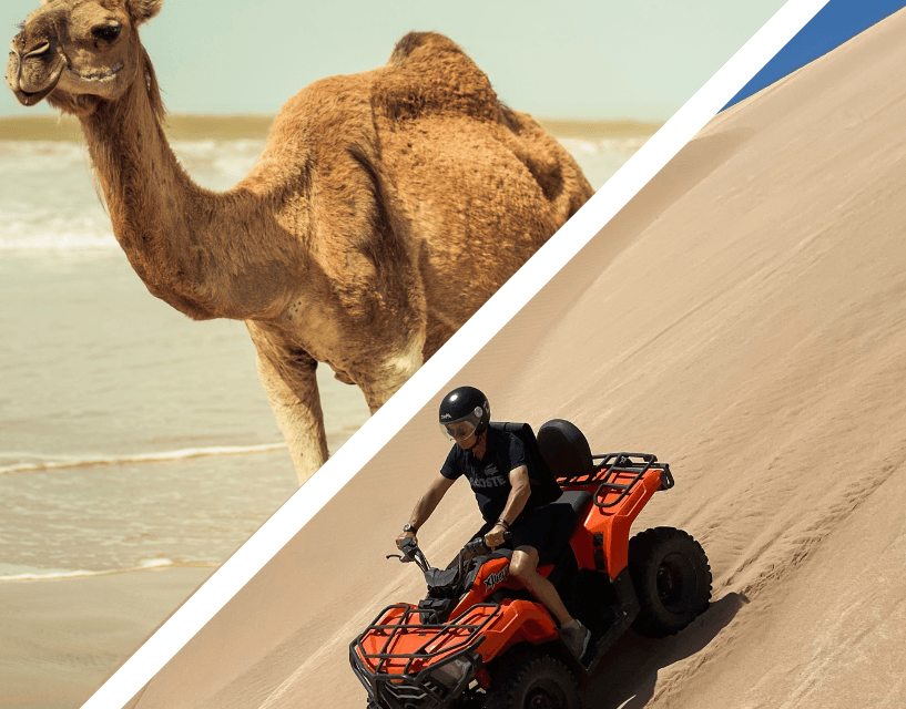 Combo Quad et Dromadaire : L’Aventure Parfaite pour Découvrir Essaouira